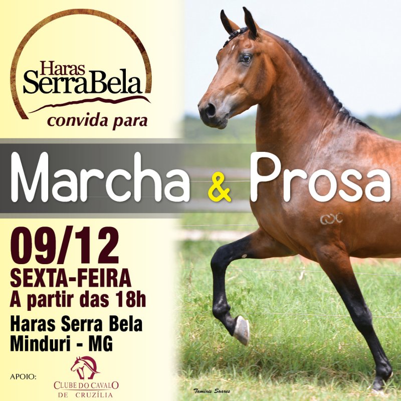 Publicidade web - Marcha & Prosa Haras Serra Bela