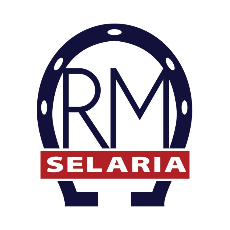 Marca RM Selaria