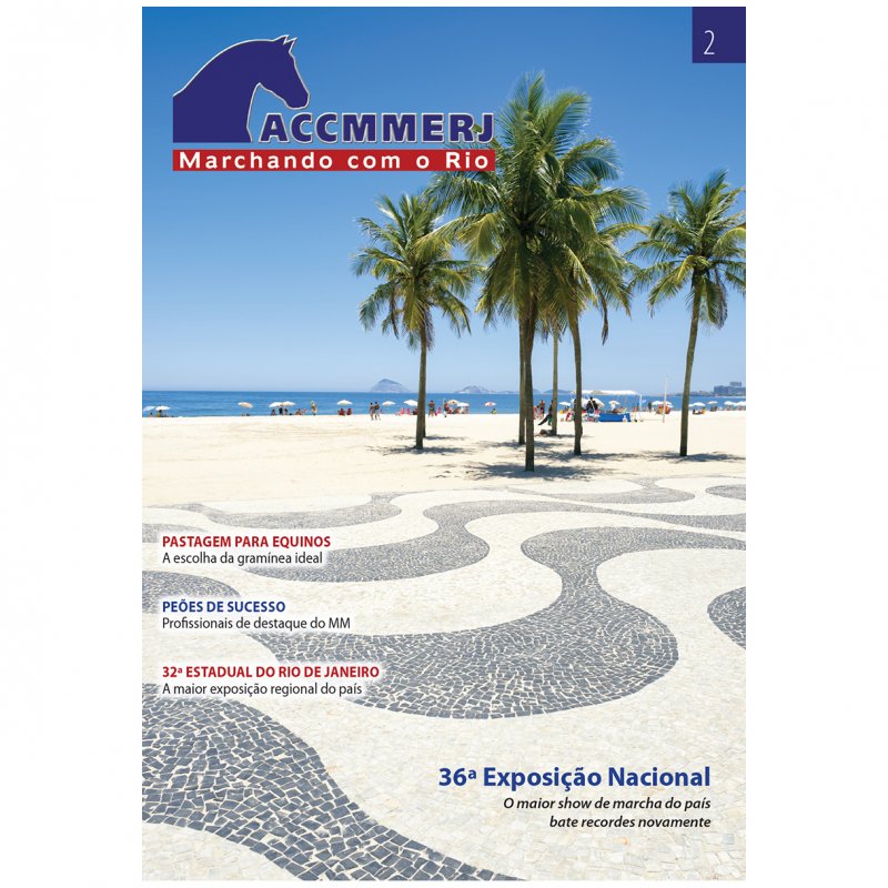 Revista ACCMMERJ 2