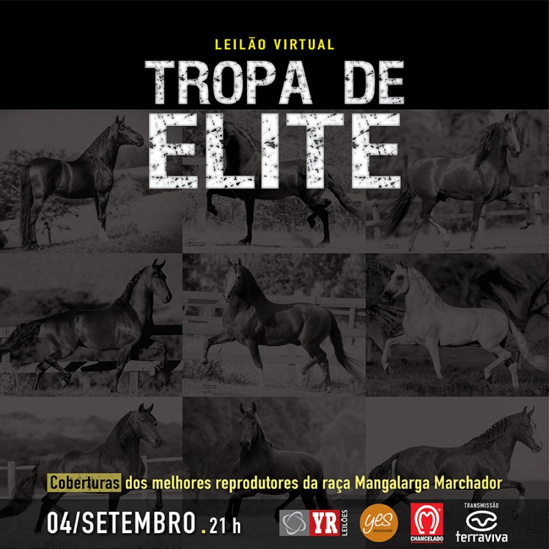 Catálogo do Leilão Tropa de Elite