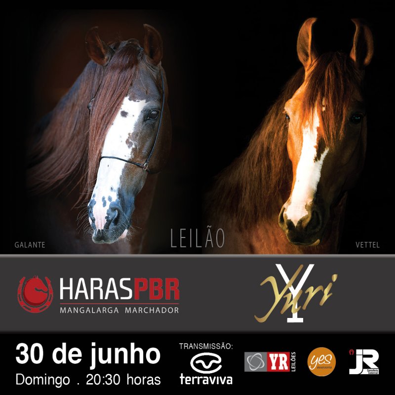 Leilão Virtual Haras PBR e Haras Yuri