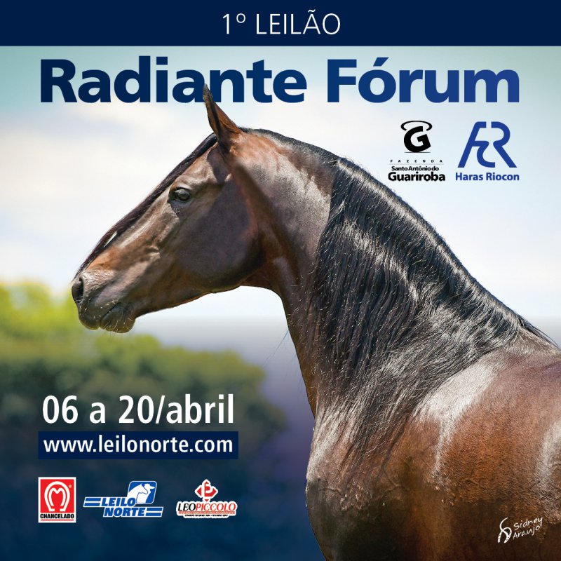 1º Leilão Radiante Fórum