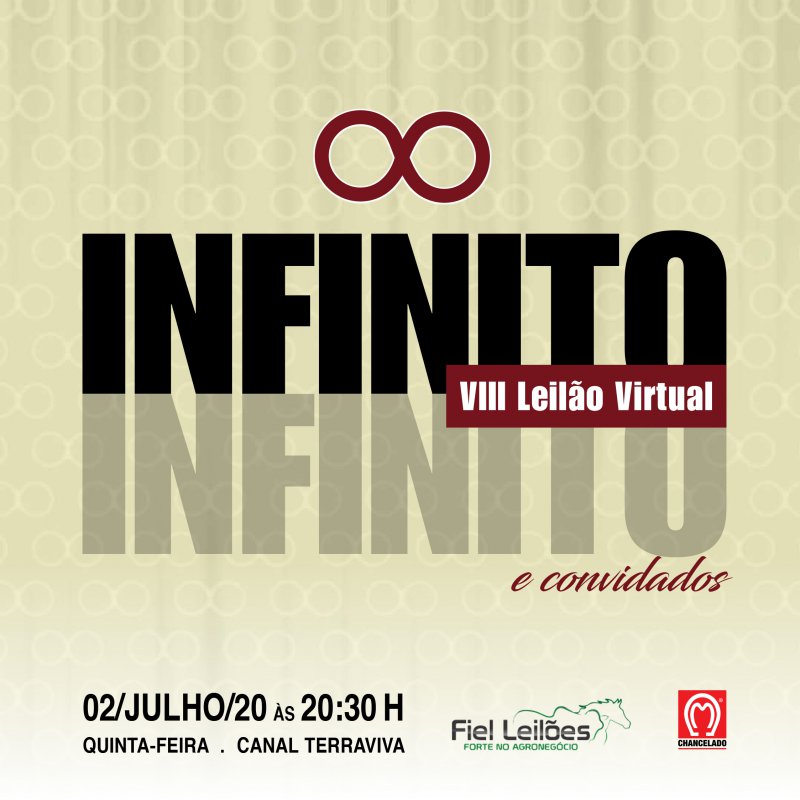 Catálogo do VIII Leilão Infinito