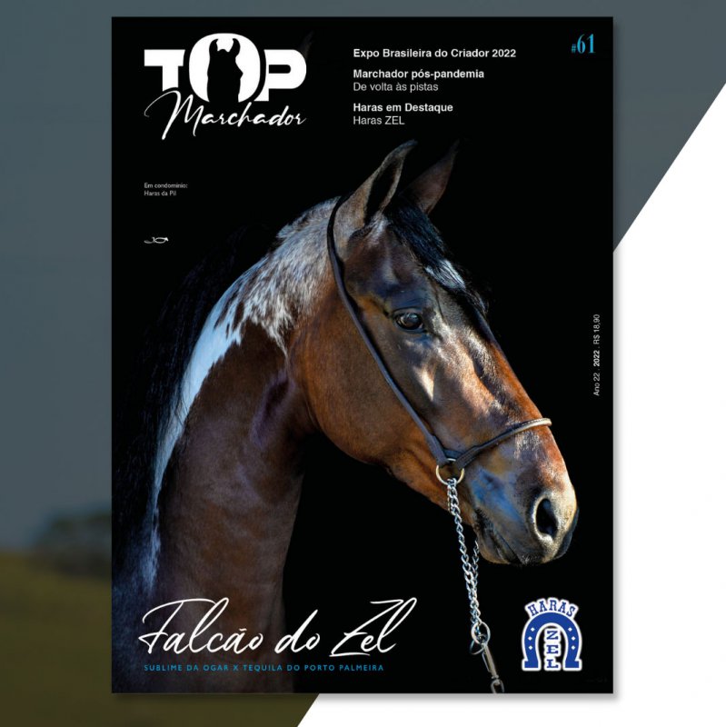 Revista Top Marchador nº 61