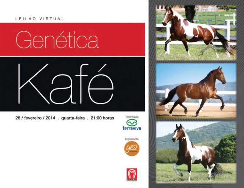 Leilão Genética Kafé