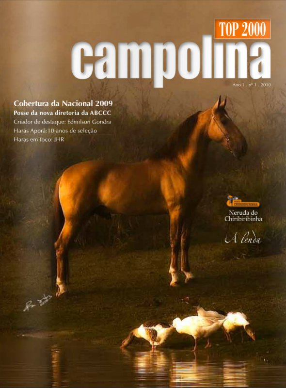 Top 2000 Campolina