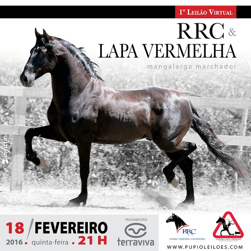 Campanha - 1º Leilão Virtual RCC & Lapa Vermelha